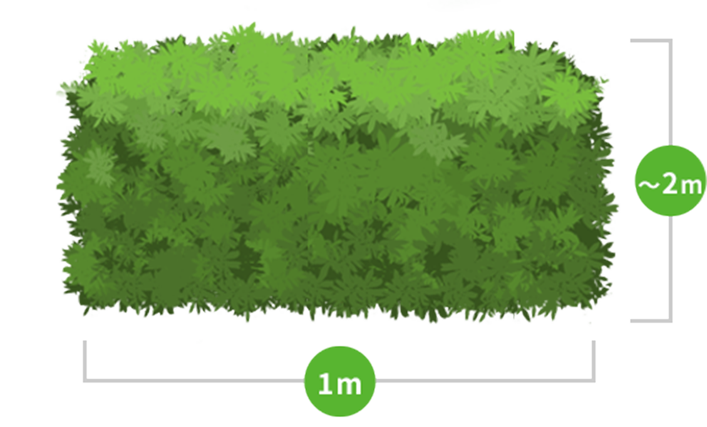 1メートルの生垣のイメージイラスト画像