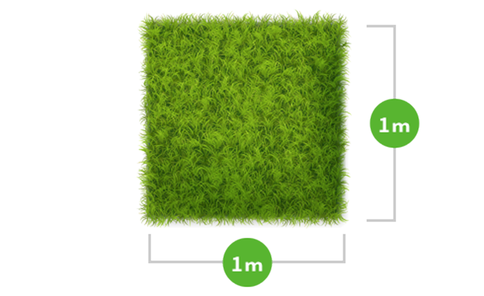 1平方メートルの芝生のイメージイラスト画像