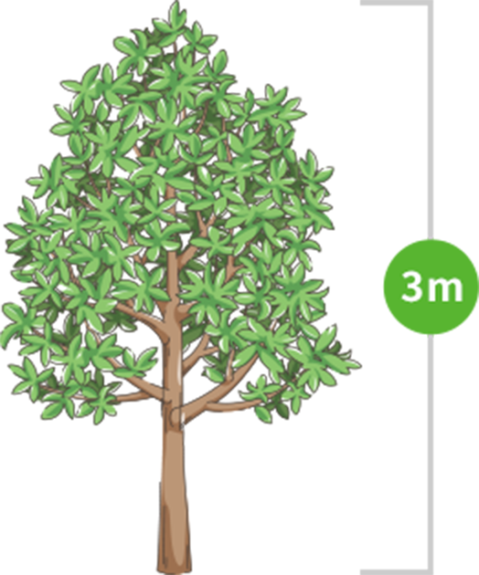 3m（1～3m未満）のイラストイメージ