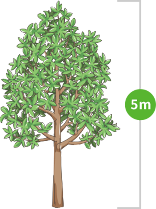 5m（3～5m未満）のイラストイメージ