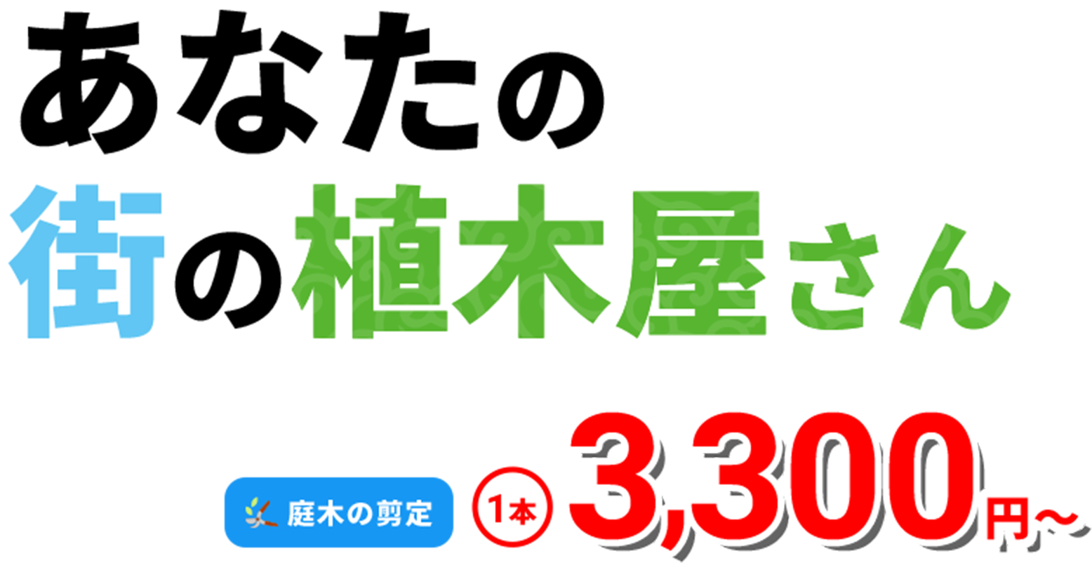 あなたの街の植木屋さん、庭木の剪定1本3,300円から