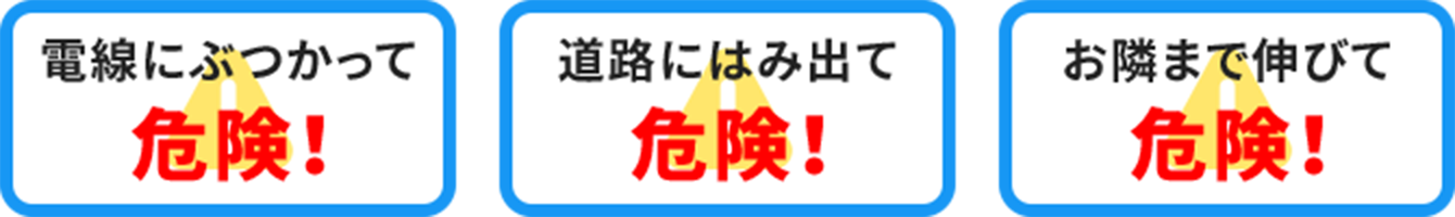 電線にぶつかって危険、道路にはみ出て危険、お隣まで伸びて危険
