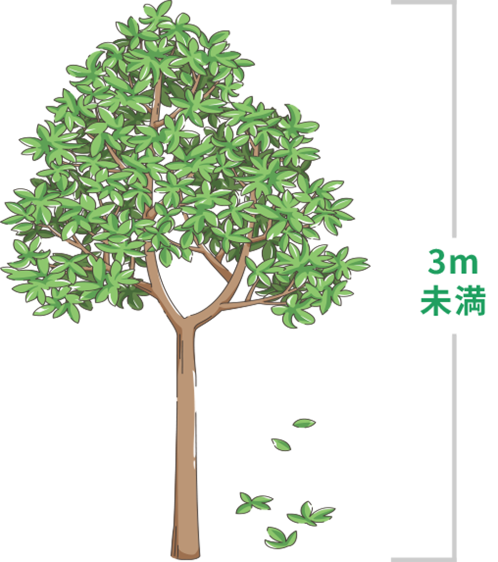 3m未満の木のイメージイラスト