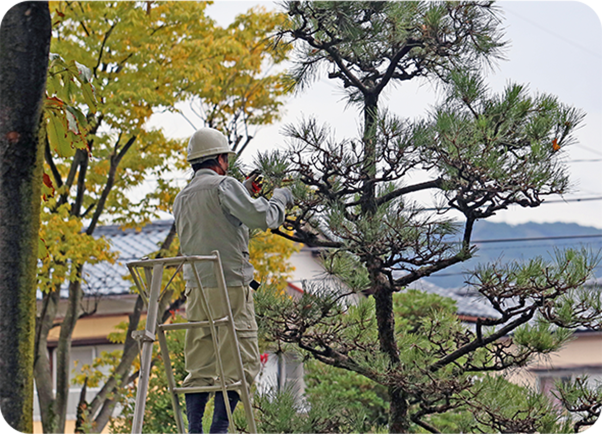 現地で作業をしている男性作業員の写真